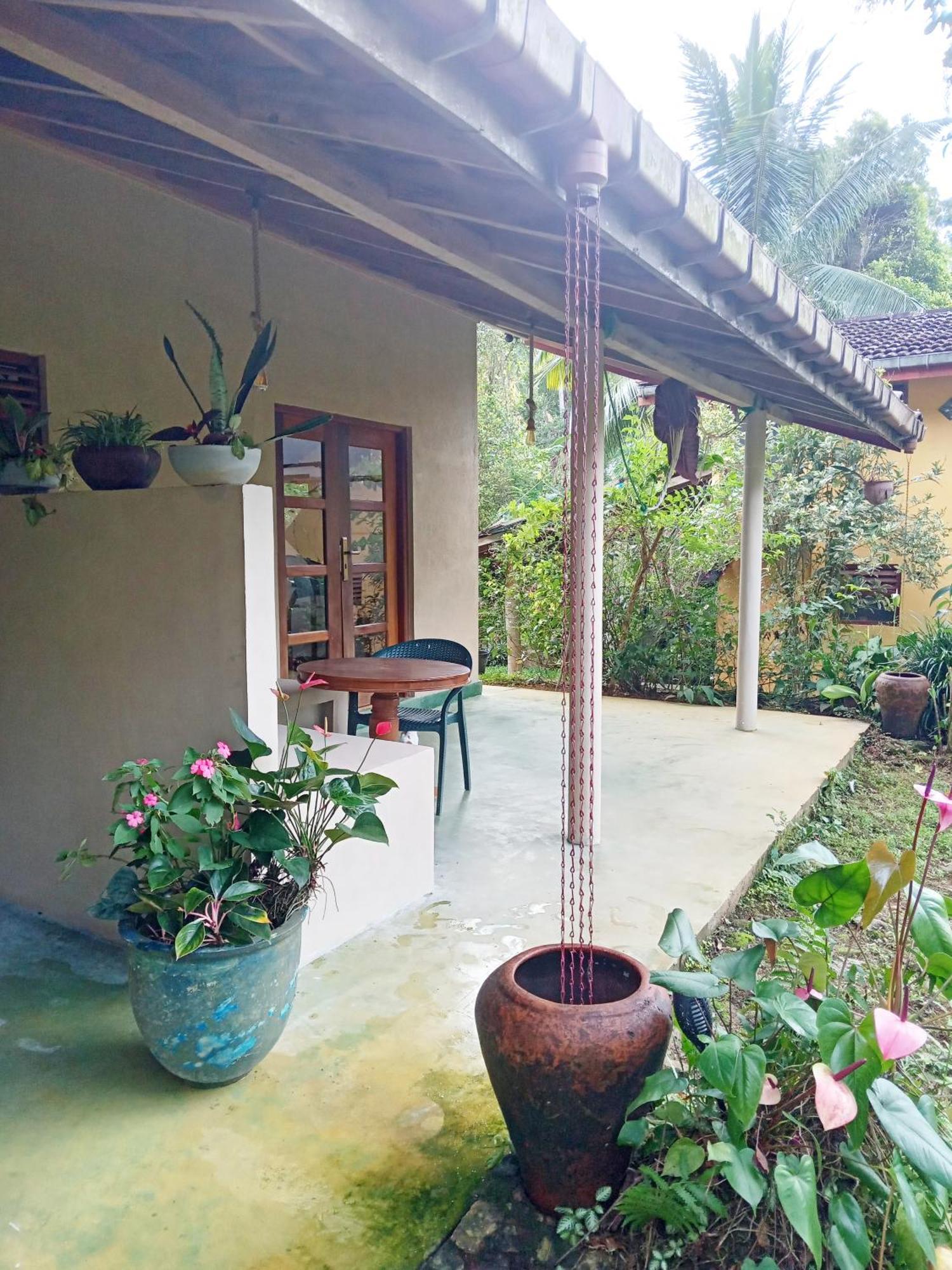 Natural Mystic Sanctuary Deniyaya Exterior foto